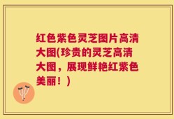 红色紫色灵芝图片高清大图(珍贵的灵芝高清大图，展现鲜艳红紫色美丽！)