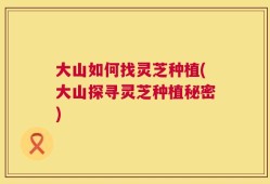 大山如何找灵芝种植(大山探寻灵芝种植秘密)