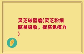 灵芝破壁磨(灵芝粉细腻易吸收，提高免疫力)