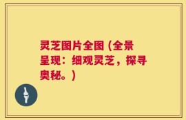 灵芝图片全图 (全景呈现：细观灵芝，探寻奥秘。)