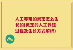 人工养殖的灵芝怎么生长的(灵芝的人工养殖过程及生长方式解析)