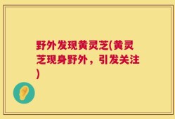 野外发现黄灵芝(黄灵芝现身野外，引发关注)