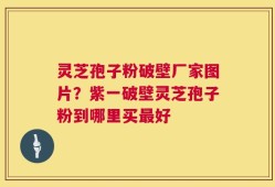 灵芝孢子粉破壁厂家图片？紫一破壁灵芝孢子粉到哪里买最好