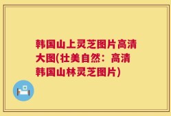 韩国山上灵芝图片高清大图(壮美自然：高清韩国山林灵芝图片)