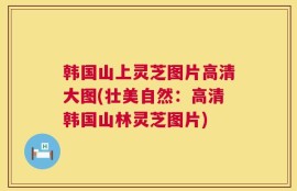 韩国山上灵芝图片高清大图(壮美自然：高清韩国山林灵芝图片)