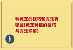 种灵芝的技巧和方法有哪些(灵芝种植的技巧与方法详解)