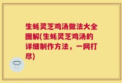生蚝灵芝鸡汤做法大全图解(生蚝灵芝鸡汤的详细制作方法，一网打尽)