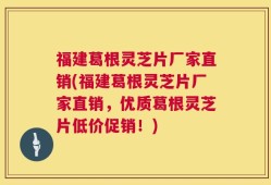 福建葛根灵芝片厂家直销(福建葛根灵芝片厂家直销，优质葛根灵芝片低价促销！)