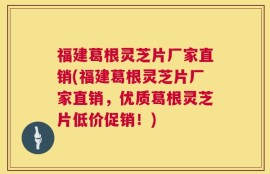 福建葛根灵芝片厂家直销(福建葛根灵芝片厂家直销，优质葛根灵芝片低价促销！)