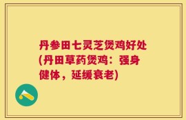 丹参田七灵芝煲鸡好处(丹田草药煲鸡：强身健体，延缓衰老)