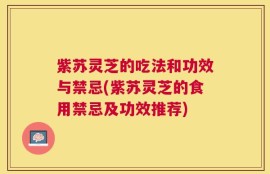 紫苏灵芝的吃法和功效与禁忌(紫苏灵芝的食用禁忌及功效推荐)