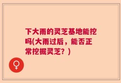 下大雨的灵芝基地能挖吗(大雨过后，能否正常挖掘灵芝？)