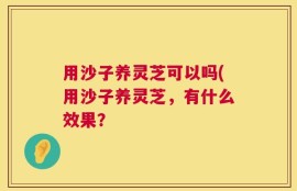 用沙子养灵芝可以吗(用沙子养灵芝，有什么效果？
