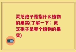 灵芝孢子是指什么植物的果实(了解一下：灵芝孢子是哪个植物的果实)