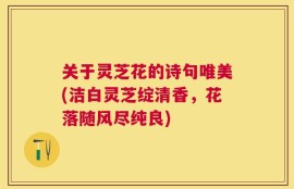 关于灵芝花的诗句唯美(洁白灵芝绽清香，花落随风尽纯良)