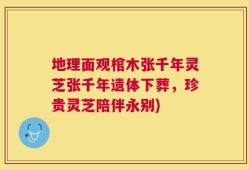 地理面观棺木张千年灵芝张千年遗体下葬，珍贵灵芝陪伴永别)