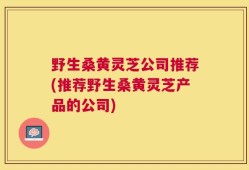 野生桑黄灵芝公司推荐(推荐野生桑黄灵芝产品的公司)
