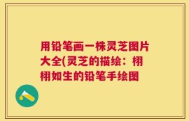 用铅笔画一株灵芝图片大全(灵芝的描绘：栩栩如生的铅笔手绘图
