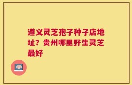 遵义灵芝孢子种子店地址？贵州哪里野生灵芝最好