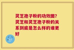 灵芝孢子粉的功效图？灵芝和灵芝孢子粉的关系到底是怎么样的谁更好
