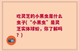 吃灵芝的小黑虫是什么虫子(“小黑虫”是灵芝实体球蚧，你了解吗？)