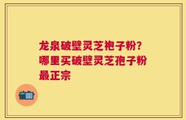 龙泉破壁灵芝袍子粉？哪里买破壁灵芝孢子粉最正宗