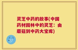 灵芝中药的故事(中国药材园林中的灵芝：由蘑菇到中药大宝库)