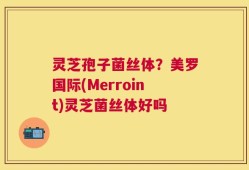 灵芝孢子菌丝体？美罗国际(Merroint)灵芝菌丝体好吗