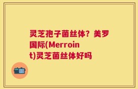 灵芝孢子菌丝体？美罗国际(Merroint)灵芝菌丝体好吗