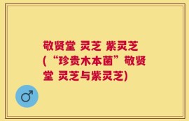 敬贤堂 灵芝 紫灵芝(“珍贵木本菌”敬贤堂 灵芝与紫灵芝)