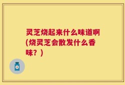 灵芝烧起来什么味道啊(烧灵芝会散发什么香味？)