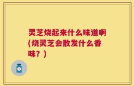 灵芝烧起来什么味道啊(烧灵芝会散发什么香味？)