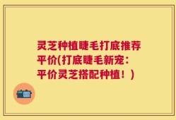 灵芝种植睫毛打底推荐平价(打底睫毛新宠：平价灵芝搭配种植！)