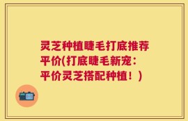 灵芝种植睫毛打底推荐平价(打底睫毛新宠：平价灵芝搭配种植！)
