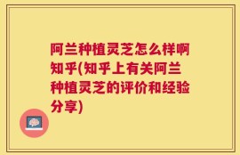 阿兰种植灵芝怎么样啊知乎(知乎上有关阿兰种植灵芝的评价和经验分享)