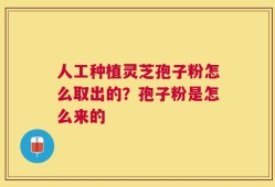 人工种植灵芝孢子粉怎么取出的？孢子粉是怎么来的
