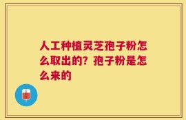 人工种植灵芝孢子粉怎么取出的？孢子粉是怎么来的