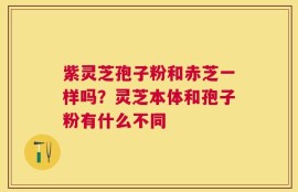 紫灵芝孢子粉和赤芝一样吗？灵芝本体和孢子粉有什么不同