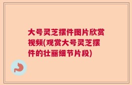 大号灵芝摆件图片欣赏视频(观赏大号灵芝摆件的壮丽细节片段)