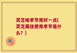 灵芝啥季节用好一点(灵芝最佳使用季节是什么？)