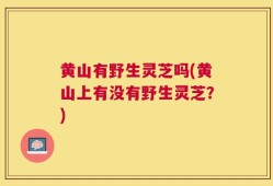黄山有野生灵芝吗(黄山上有没有野生灵芝？)