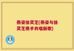 燕姿徐灵芝(燕姿与徐灵芝携手共唱新歌)