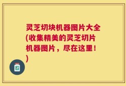 灵芝切块机器图片大全(收集精美的灵芝切片机器图片，尽在这里！)
