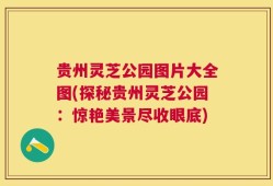 贵州灵芝公园图片大全图(探秘贵州灵芝公园：惊艳美景尽收眼底)