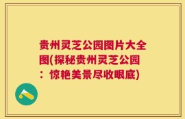 贵州灵芝公园图片大全图(探秘贵州灵芝公园：惊艳美景尽收眼底)