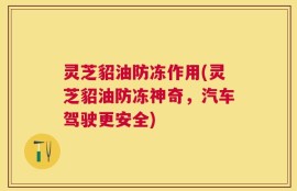 灵芝貂油防冻作用(灵芝貂油防冻神奇，汽车驾驶更安全)
