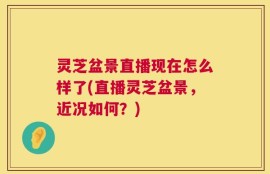 灵芝盆景直播现在怎么样了(直播灵芝盆景，近况如何？)