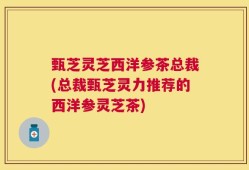 甄芝灵芝西洋参茶总裁(总裁甄芝灵力推荐的西洋参灵芝茶)