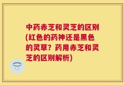 中药赤芝和灵芝的区别(红色的药神还是黑色的灵草？药用赤芝和灵芝的区别解析)