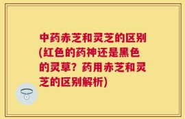 中药赤芝和灵芝的区别(红色的药神还是黑色的灵草？药用赤芝和灵芝的区别解析)